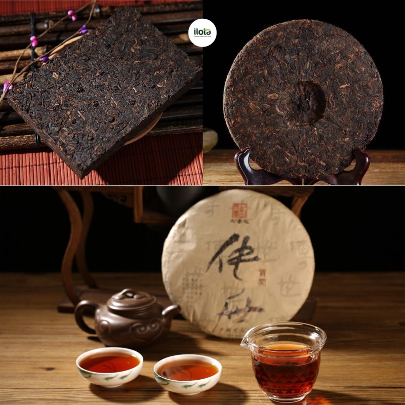 huong-thom-tra-pho-nhi-tu-hoa-lan-den-chuong-huong
