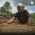 ca-phe-kenya-kirinyaga