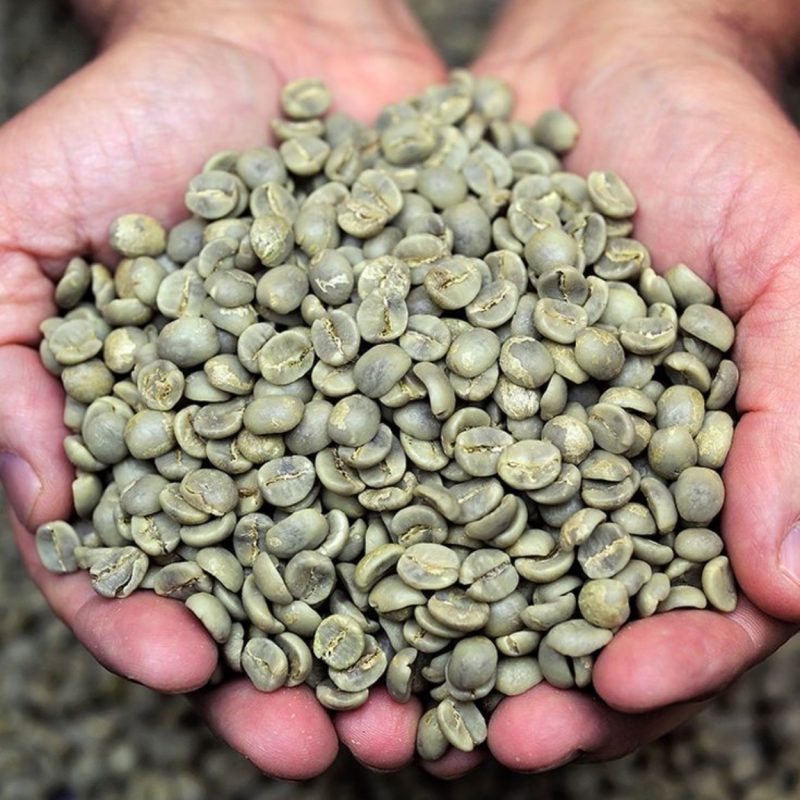 so-che-uot-la-gi-va-huong-vi-hoa-co-ca-phe-arabica