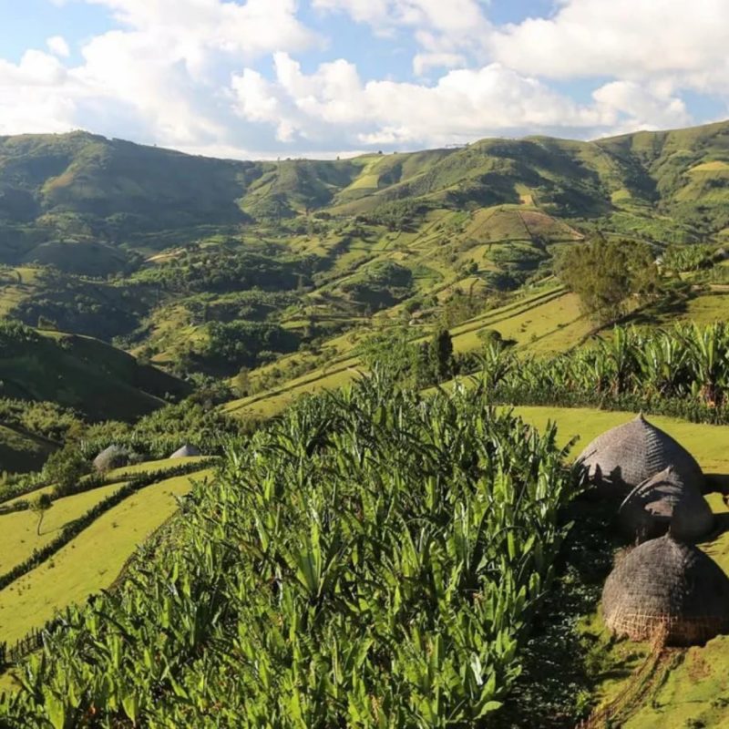 mo-hinh-garden-coffee-canh-tac-cua-nguoi-oromo
