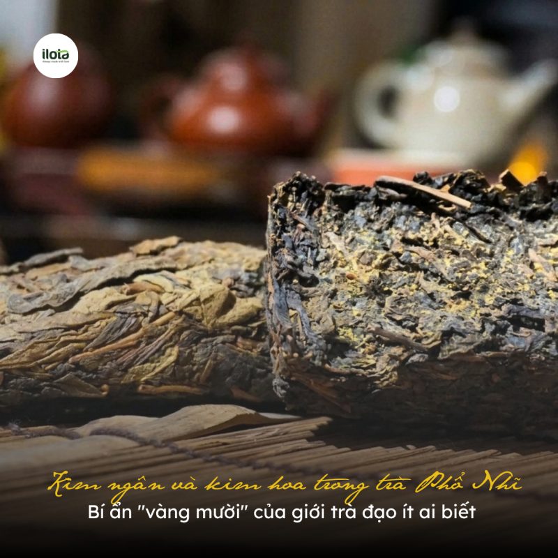 kim-ngan-va-kim-hoa-trong-tra-pho-nhi-bi-an-vang