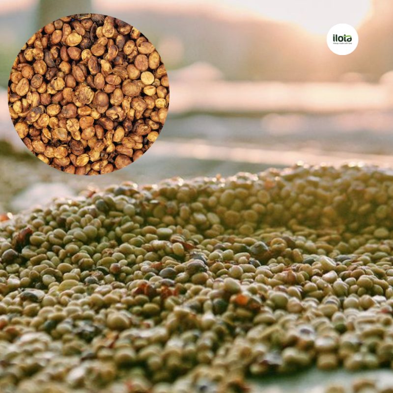 so-sanh-fine-robusta-natural-va-honey