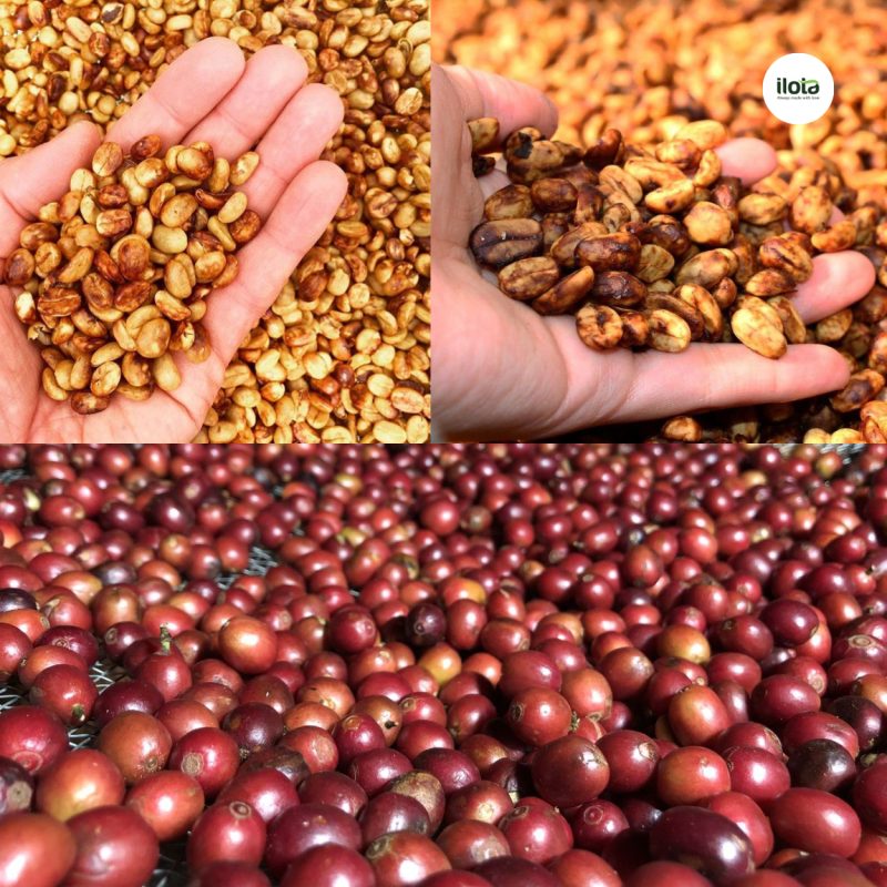 so-sanh-fine-robusta-natural-va-honey