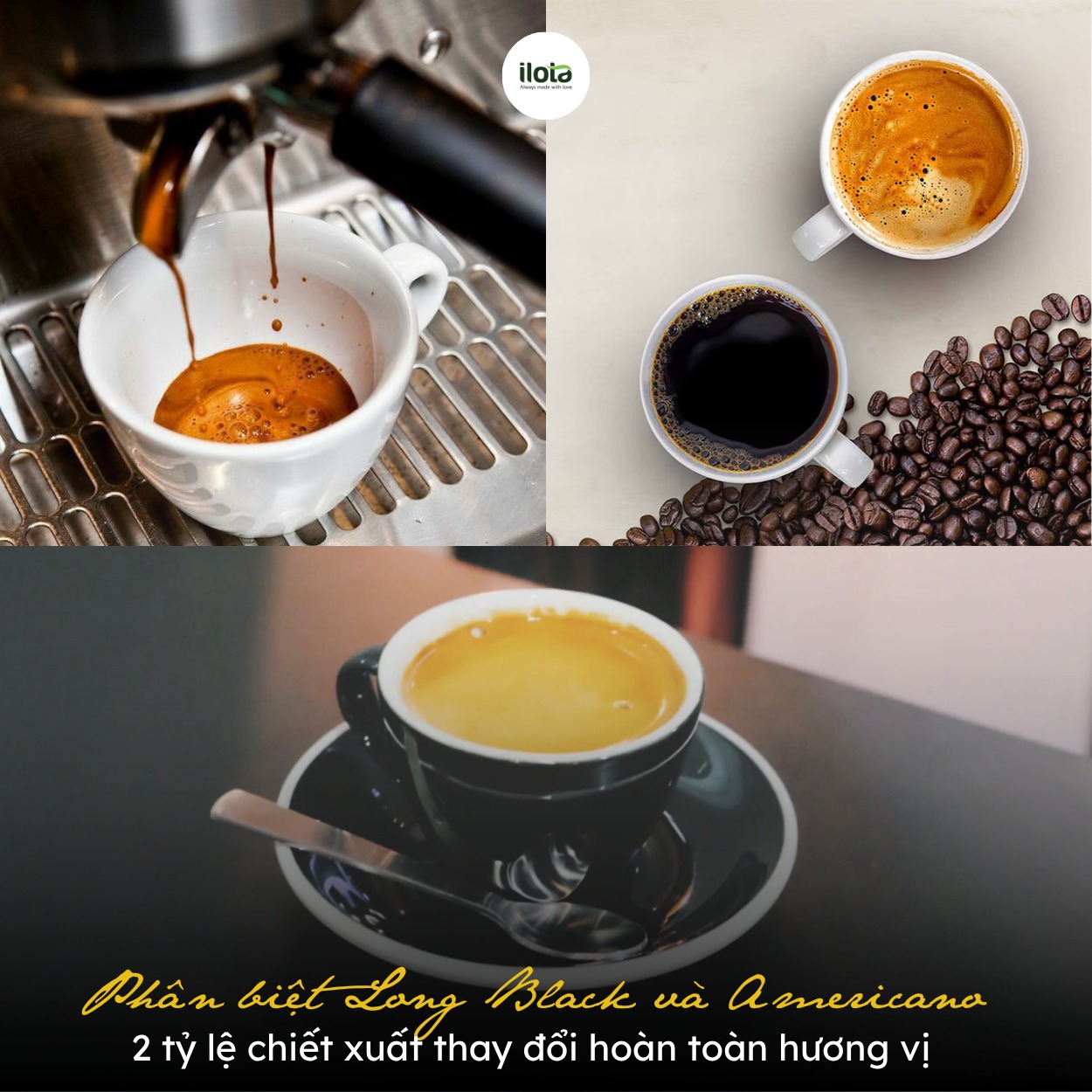 phan-biet-long-black-va-americano-2-ty-le-chiet-xuat