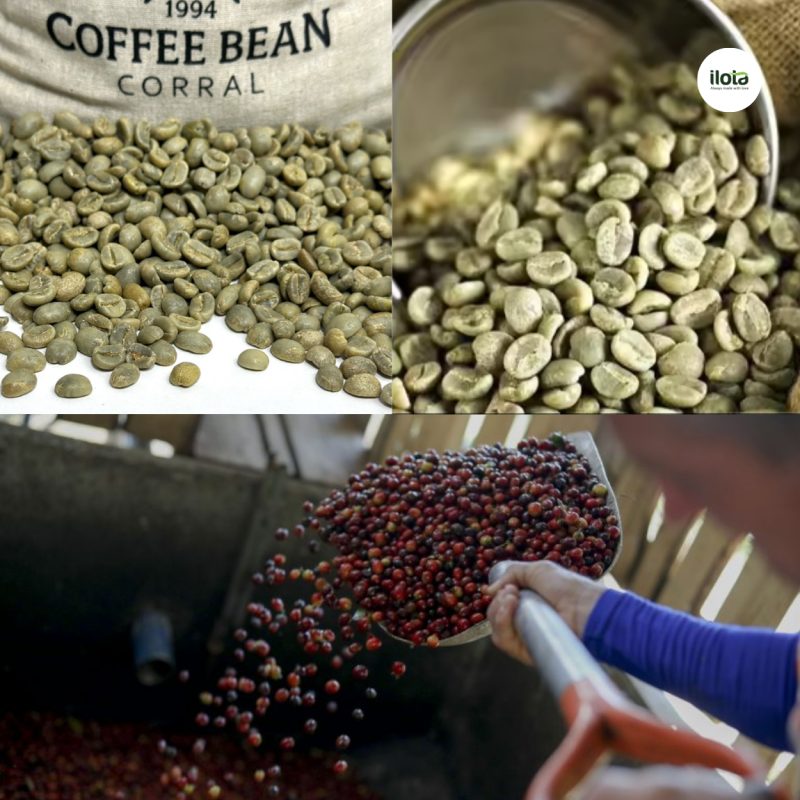 vi-sao-costa-rica-go-bo-lenh-cam-robusta-sau-30-nam