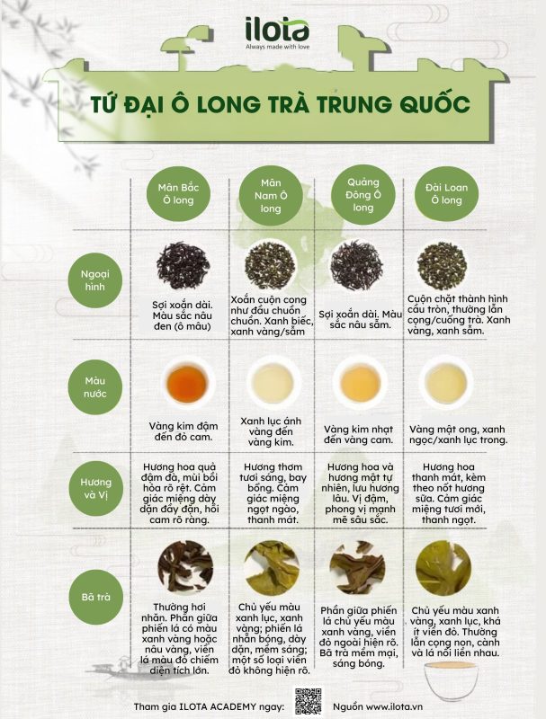 cac-giong-tra-oolong-kinh-dien