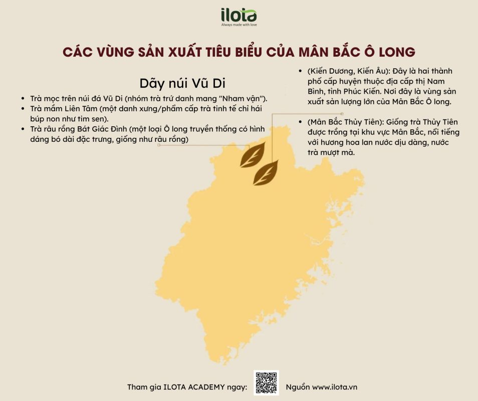 cac-giong-tra-oolong-kinh-dien