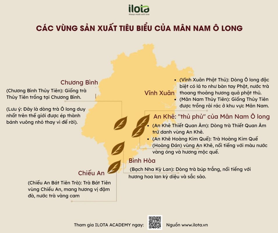 cac-giong-tra-oolong-kinh-dien
