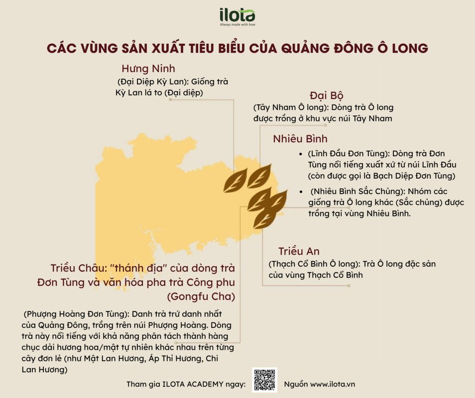 cac-giong-tra-oolong-kinh-dien