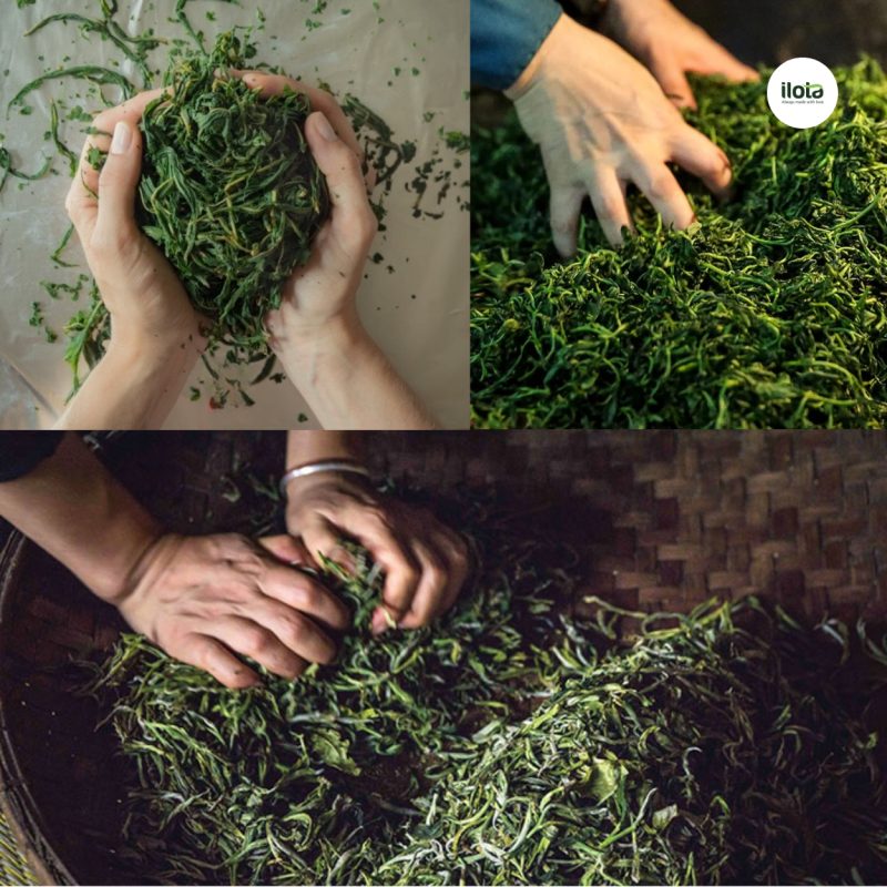 so-sanh-oolong-dai-loan-va-oolong-viet-nam