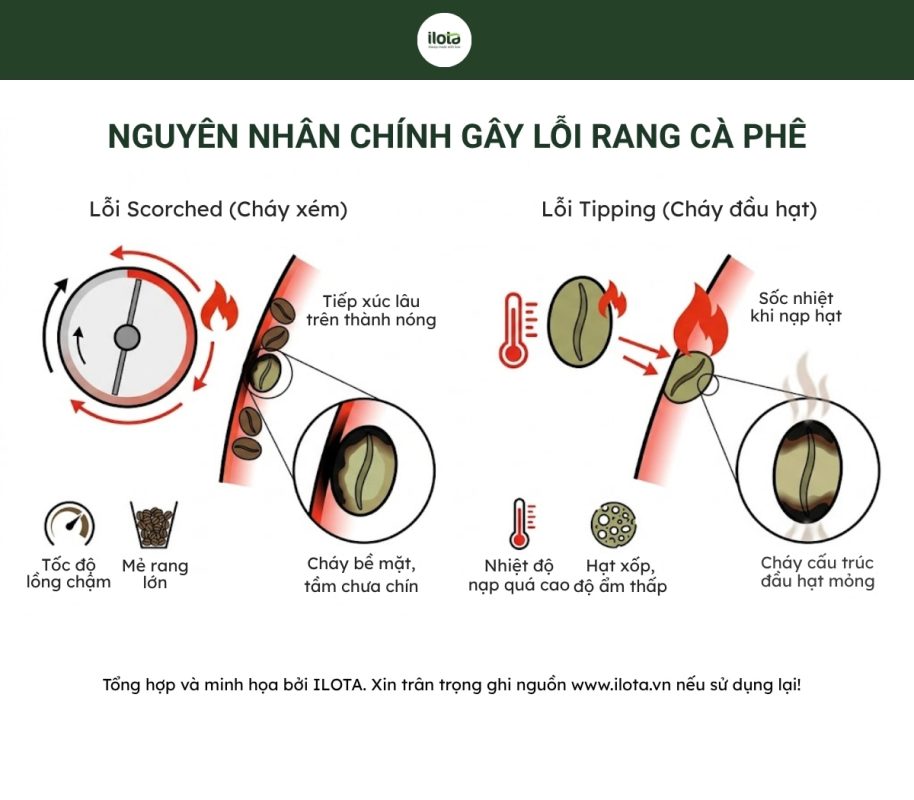 phan-biet-loi-scorched-va-tipping