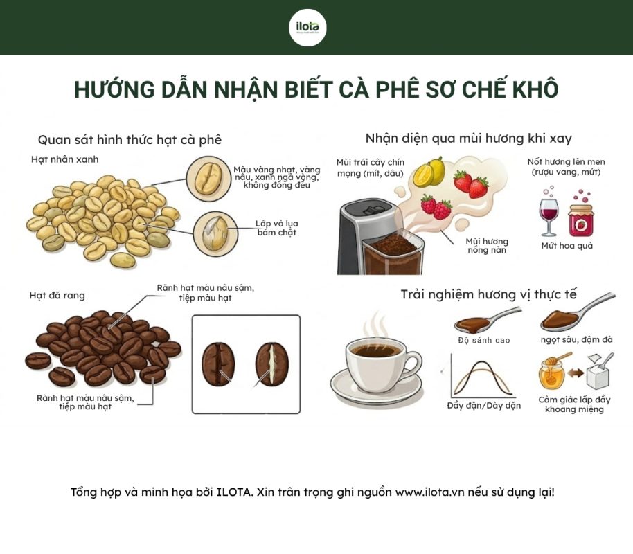 so-che-kho-la-gi