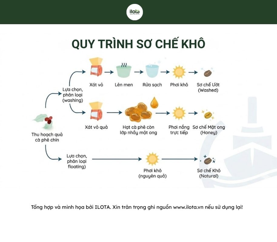 so-che-kho-la-gi