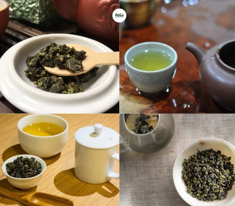 cac-giong-tra-trung-du-pho-bien-tai-viet-nam