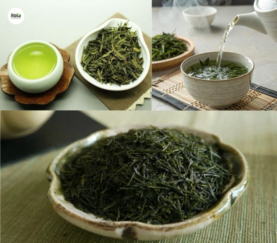 sencha-la-gi