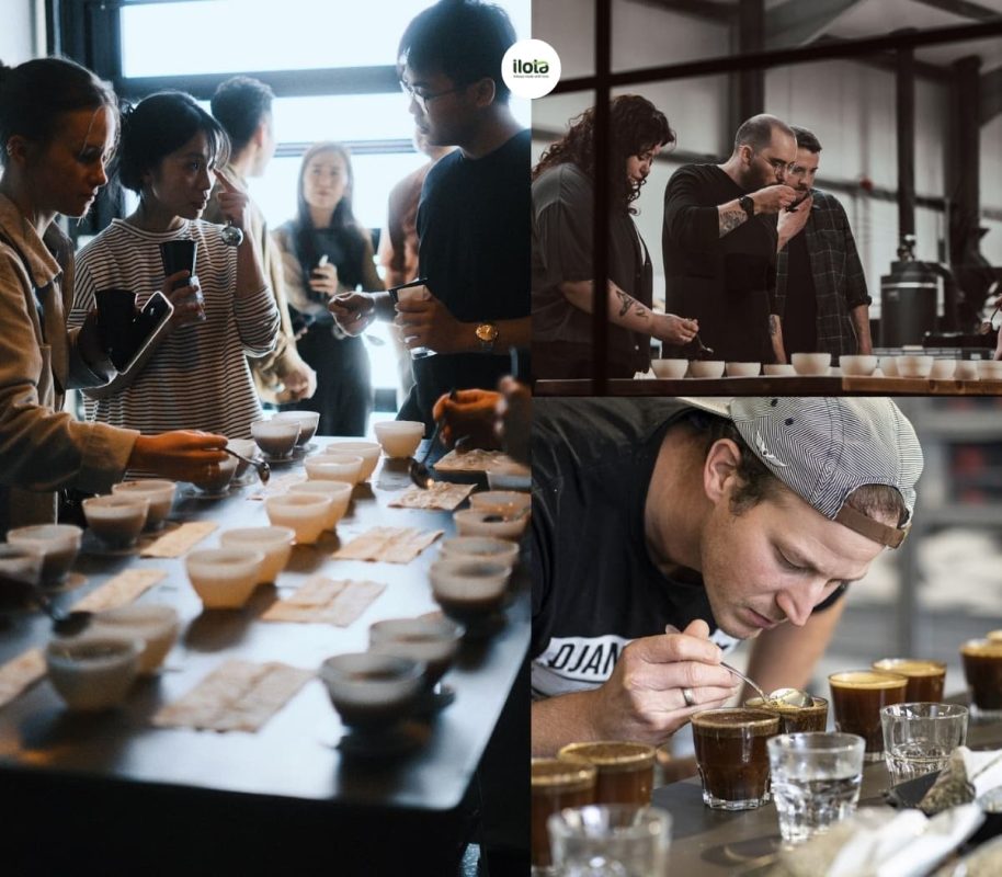 tieu-chuan-fine-robusta-cua-cqi-la-gi