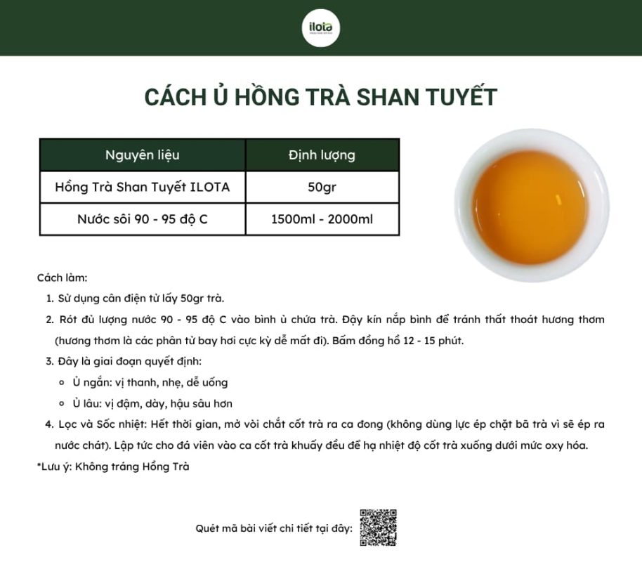 cach-u-hong-tra-shan-tuyet-co-thu-ilota