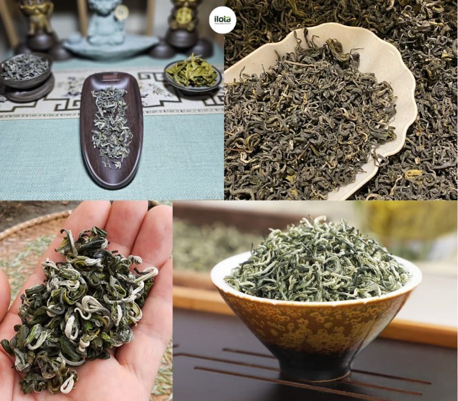 cach-u-luc-tra-shan-tuyet