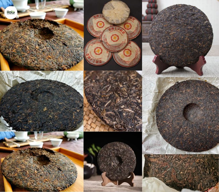 cac-hinh-dang-nen-tra-pho-nhi