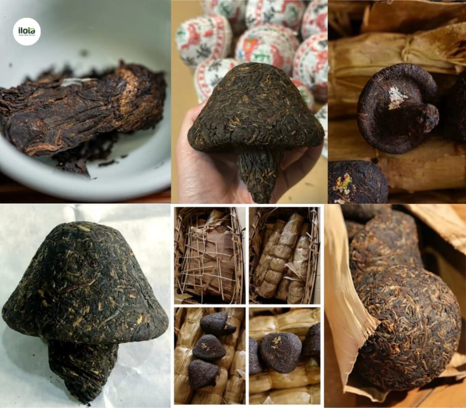 cac-hinh-dang-nen-tra-pho-nhi