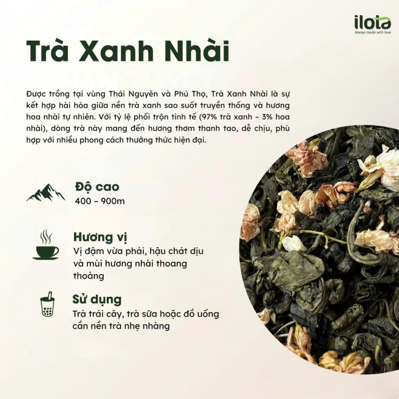 cac-mon-do-uong-tu-tra-xanh-nhai