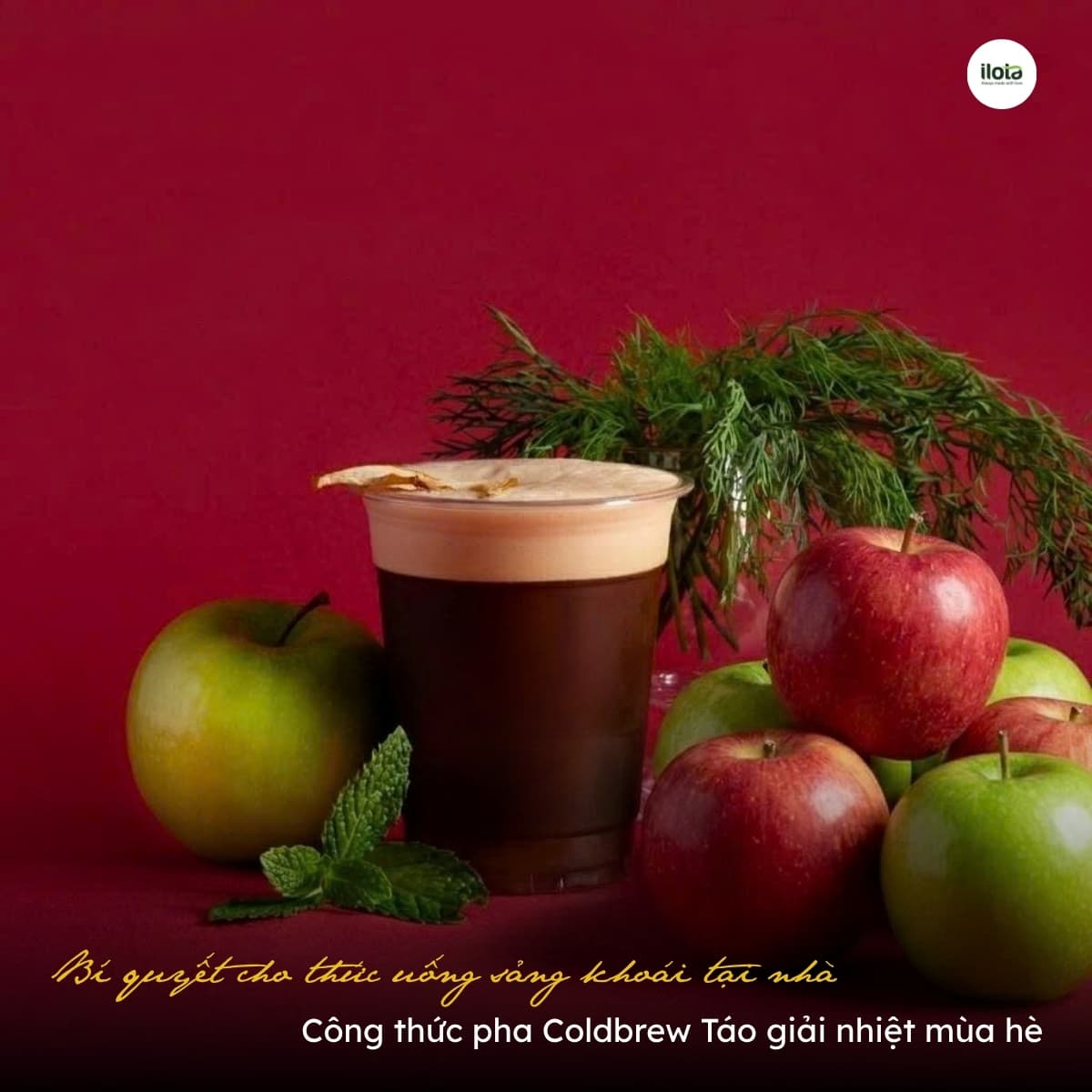 cong-thuc-pha-coldbrew-tao
