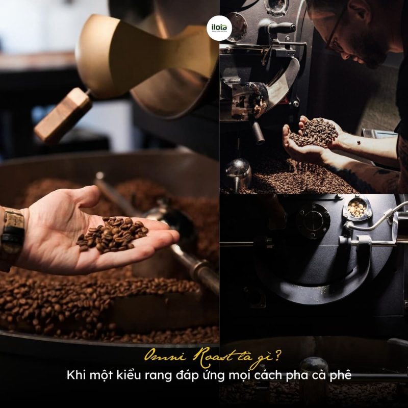 Omni-Roast-la-gi