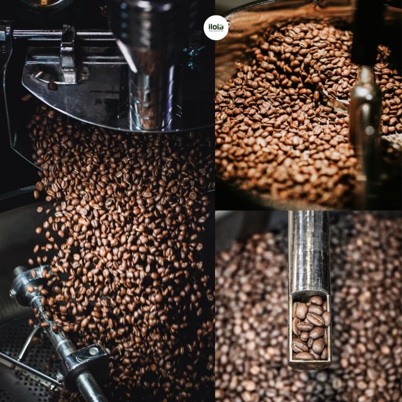 Omni-Roast-la-gi