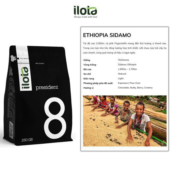 ca-phe-ethiopia-sidamo