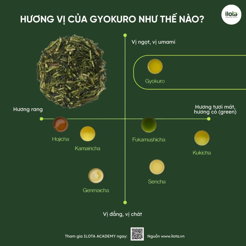 cac-loai-tra-nhat-ban-9-thanh-pham