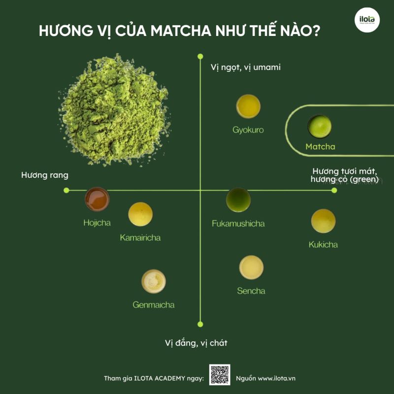 cac-loai-tra-nhat-ban-9-thanh-pham