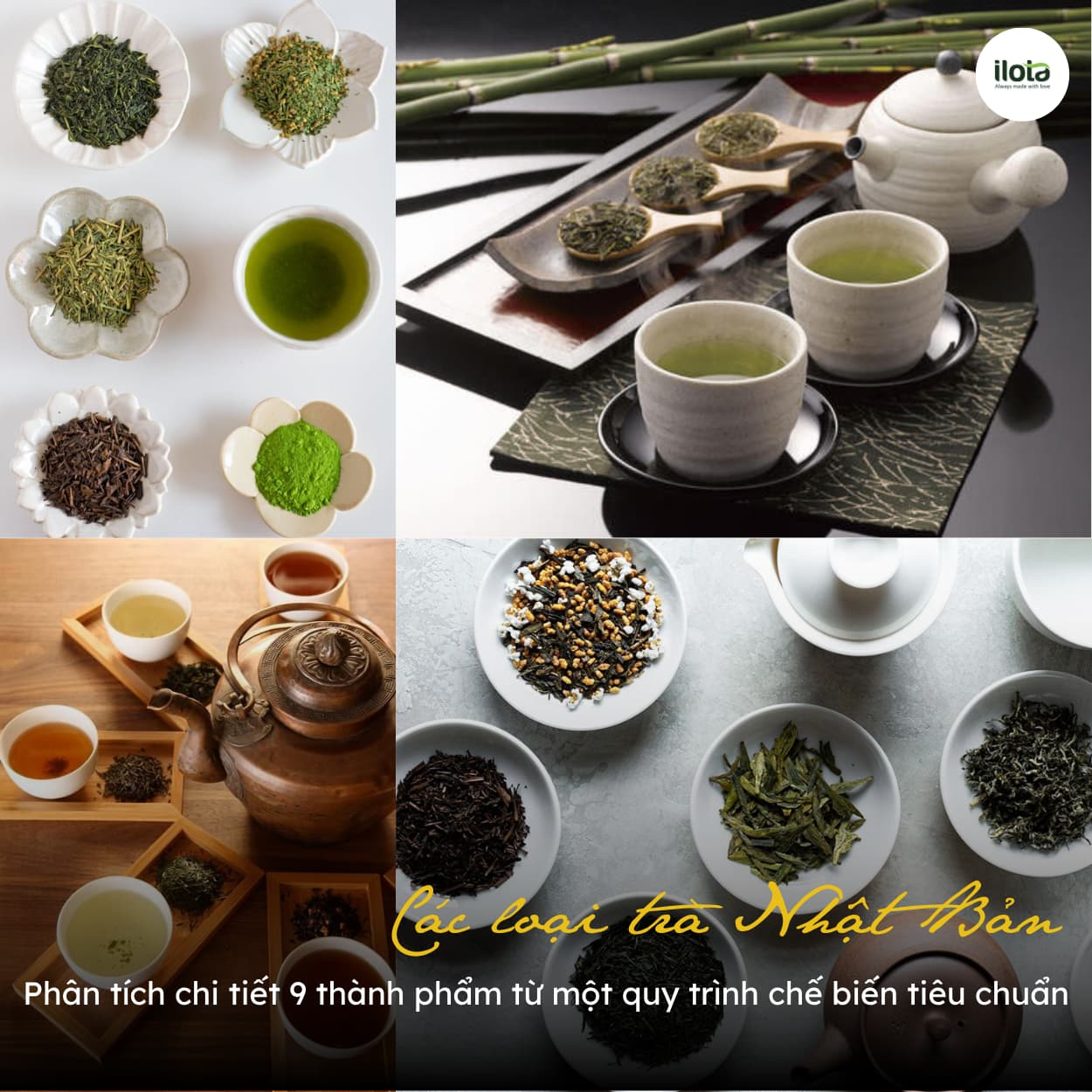 cac-loai-tra-nhat-ban-9-thanh-pham