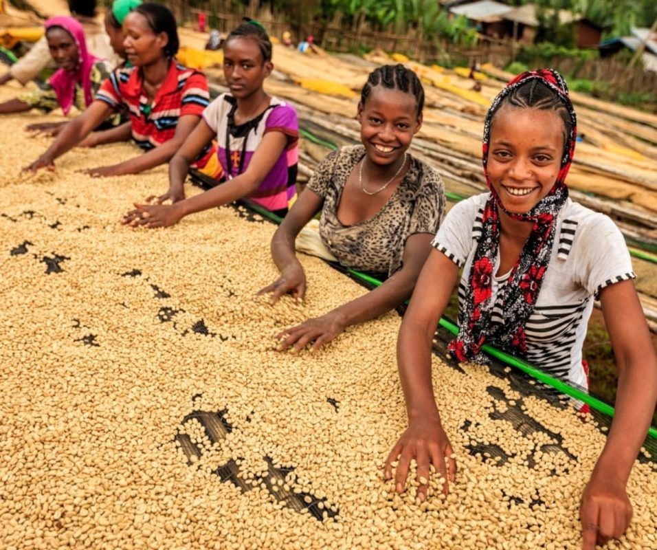 ca-phe-ethiopia-sidamo