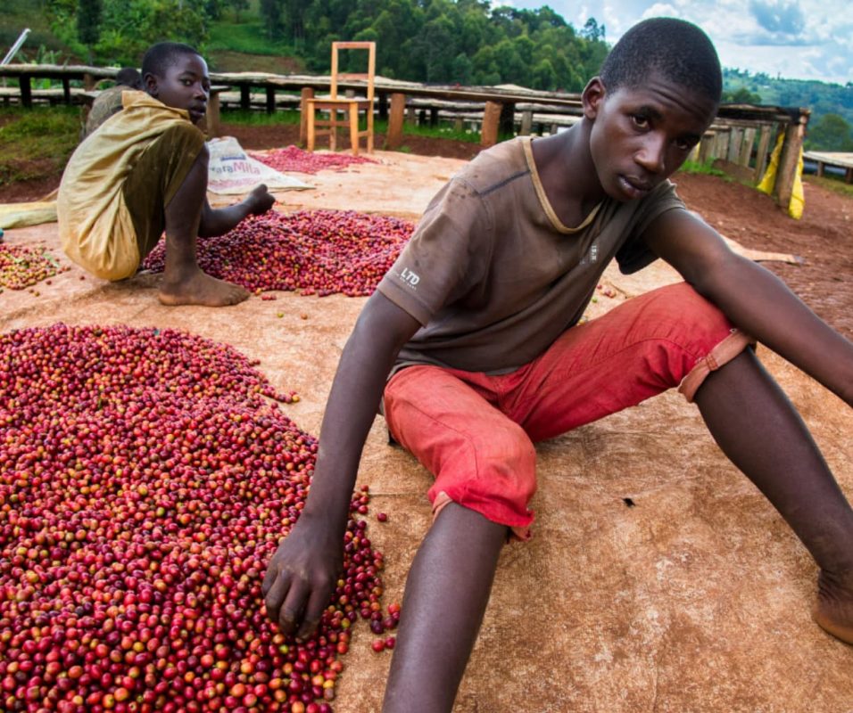 ca-phe-ethiopia-guji-hambella-buku-abel-g1