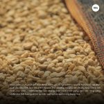 ca-phe-ethiopia-sidamo