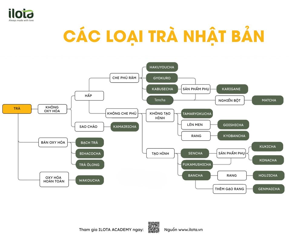 cac-loai-tra-nhat-ban