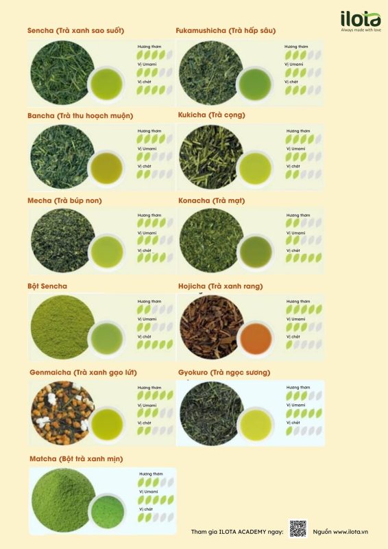 sencha-la-gi