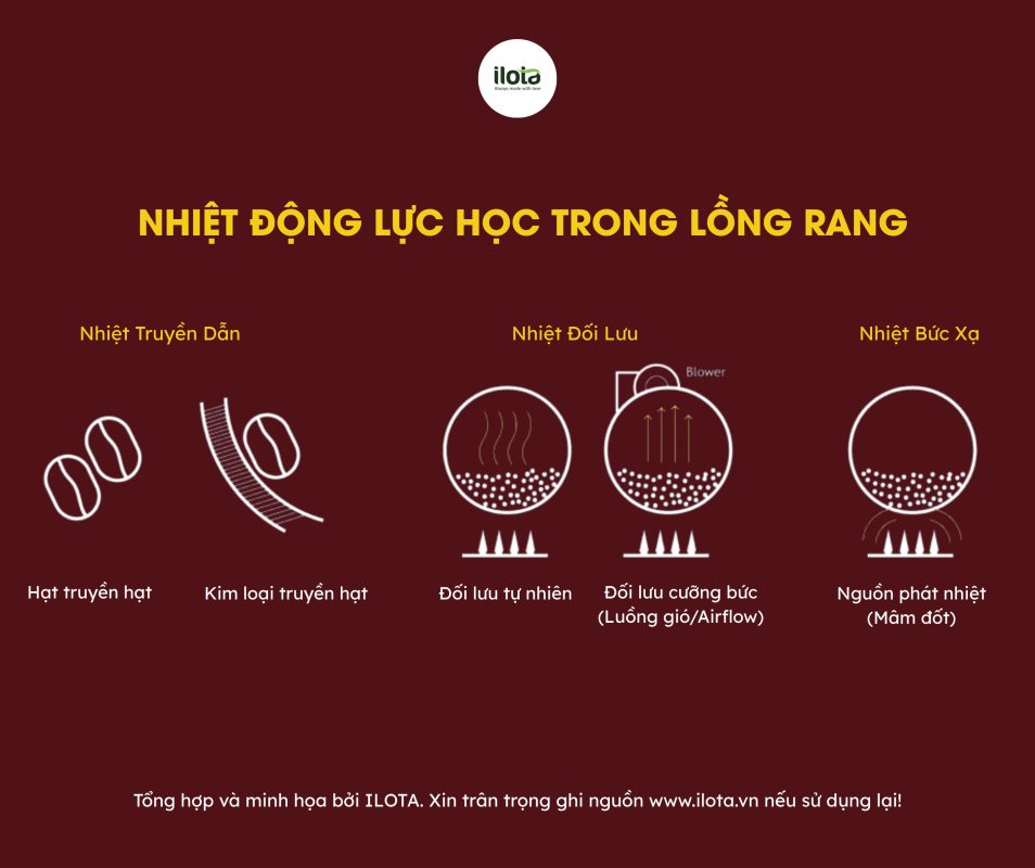 nhiet-truyen-dan-va-nhiet-doi-luu-trong-rang-ca-phe