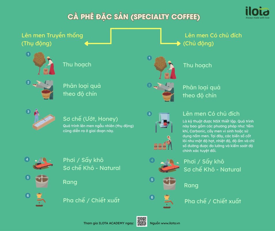 len-men-ca-phe-fermentation-coffee