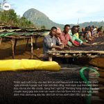 ca-phe-ethiopia-guji-hambella-buku-abel-g1