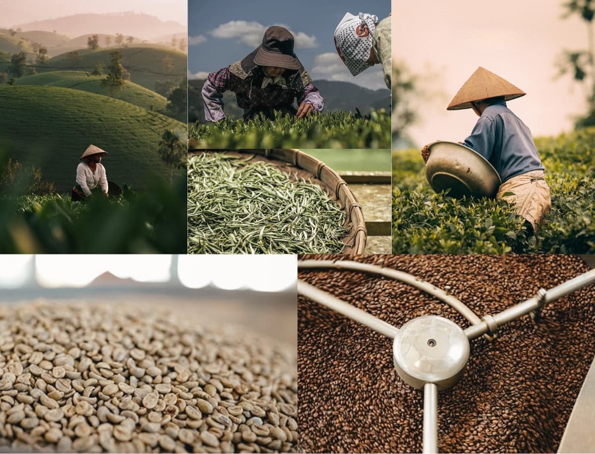 Giá trị trung thực từ ILOTA