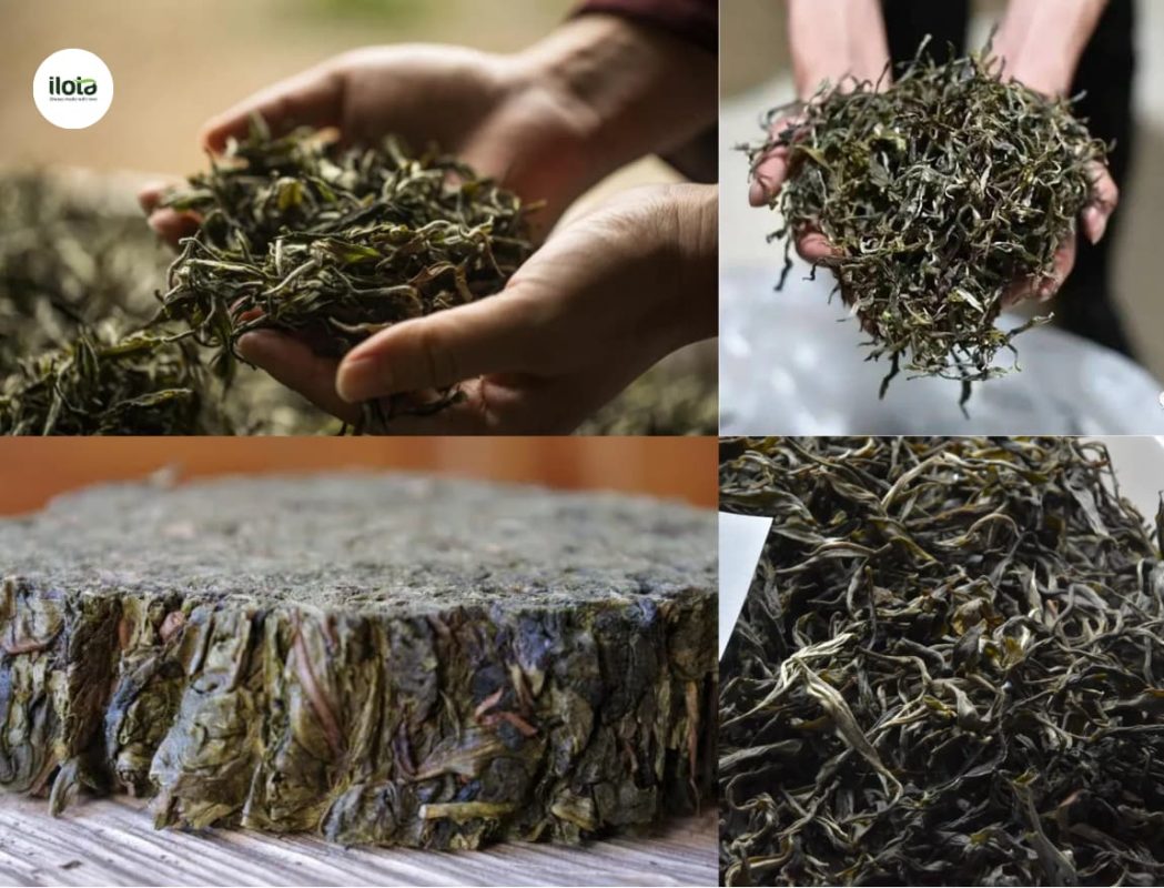 giai-nghia-cac-thuat-ngu-che-bien-tra-dac-san