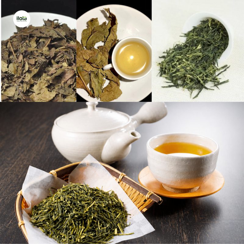 cach-pha-tra-bancha-chuan-vi