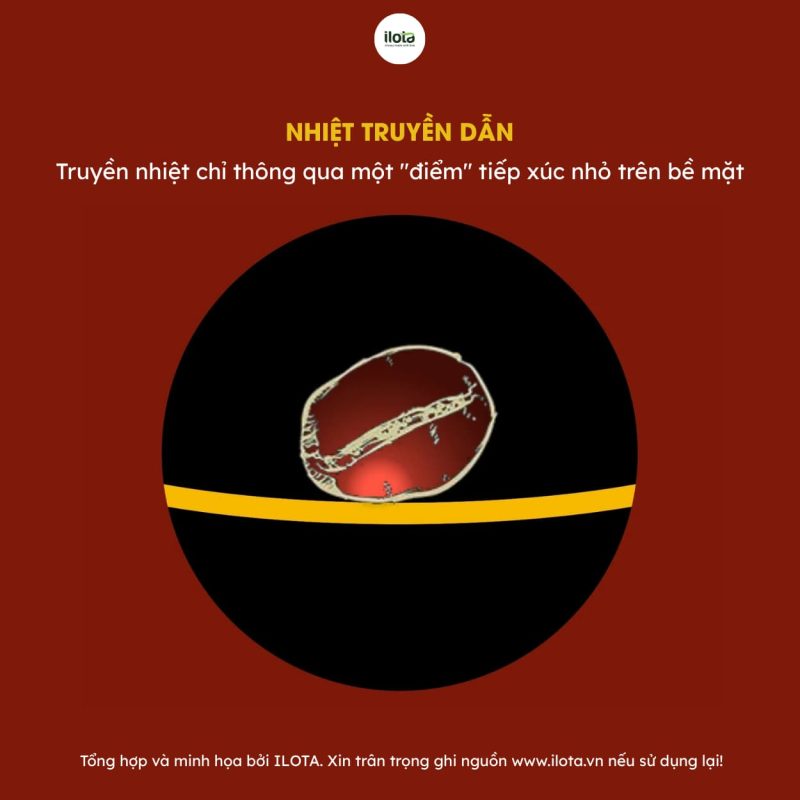 nhiet-truyen-dan-va-nhiet-doi-luu-trong-rang-ca-phe