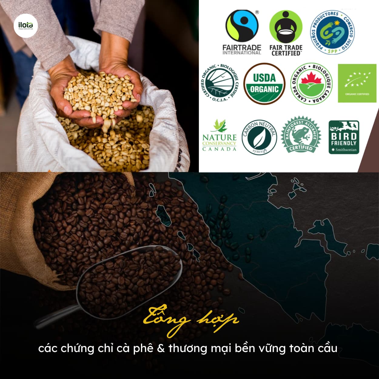 XUẤT KHẨU CÀ PHÊ SANG MỸ ĐÚNG CHUẨN CHẤT LƯỢNG