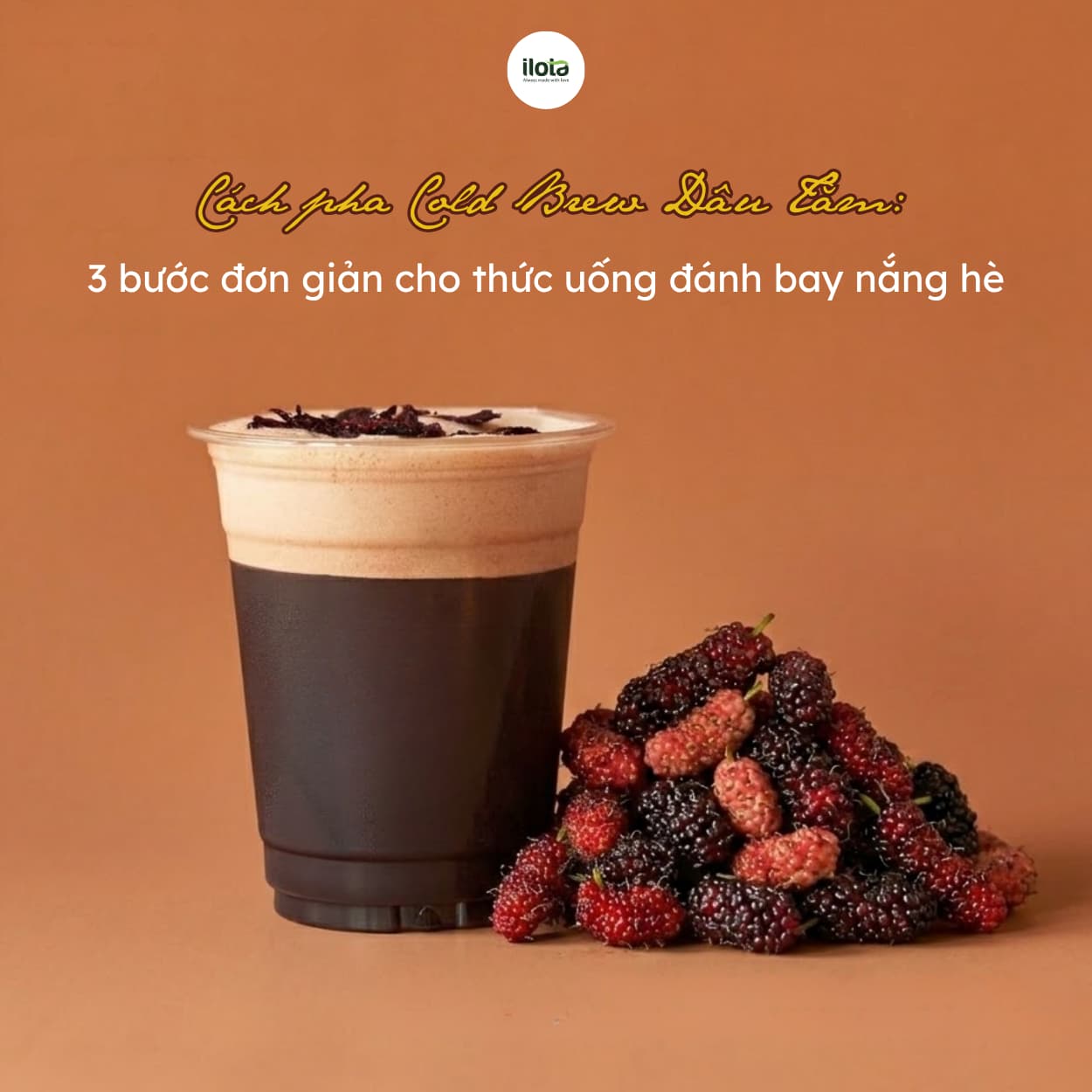 cach-pha-cold-brew-dau-tam