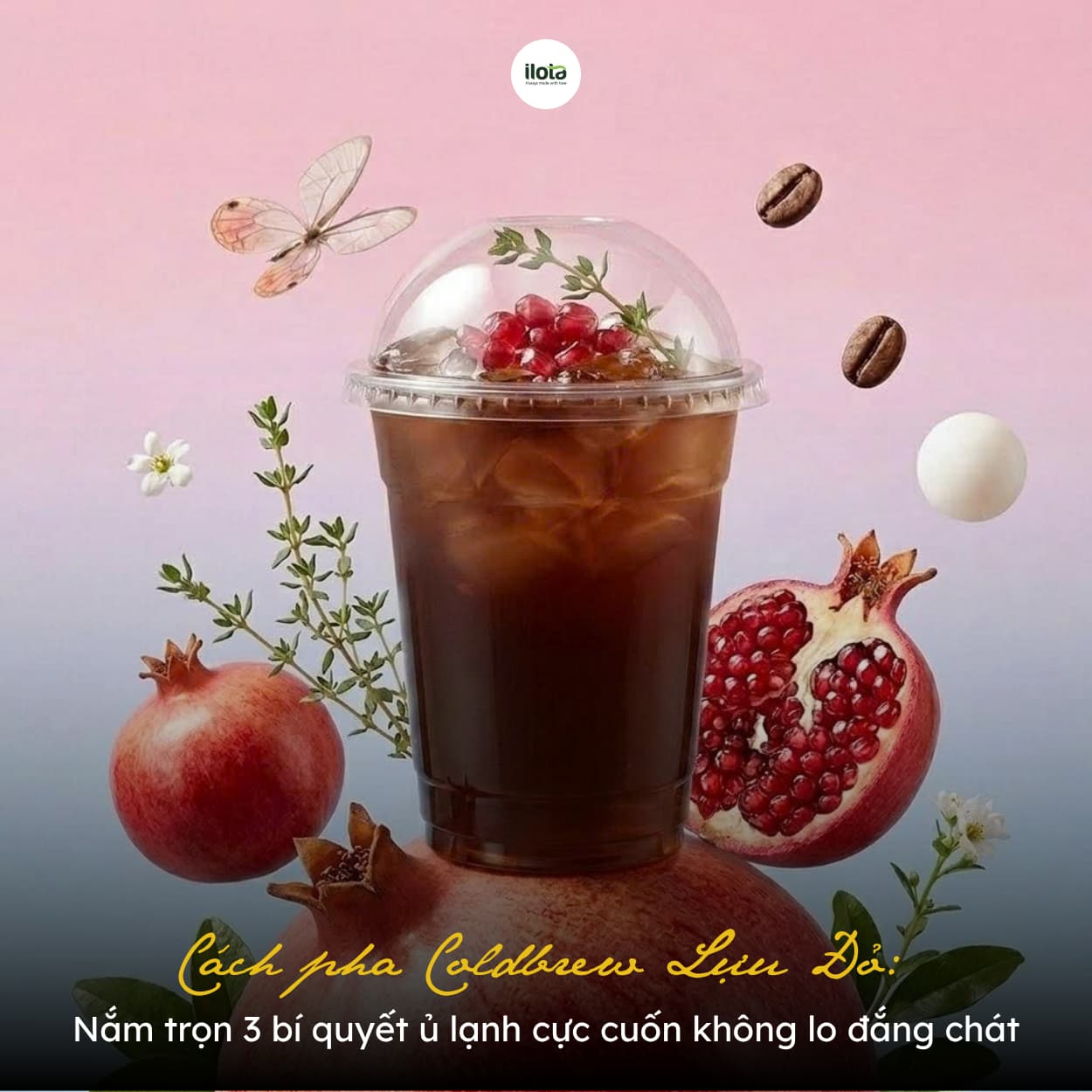 cach-pha-coldbrew-luu-do