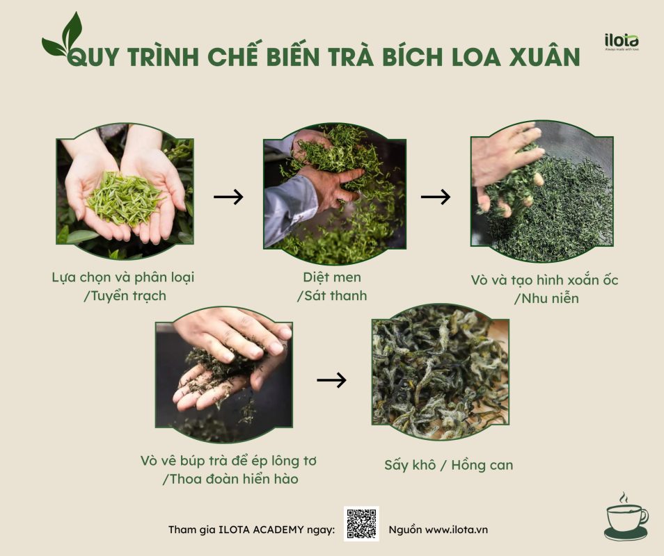 tra-dong-dinh-bich-loa-xuan