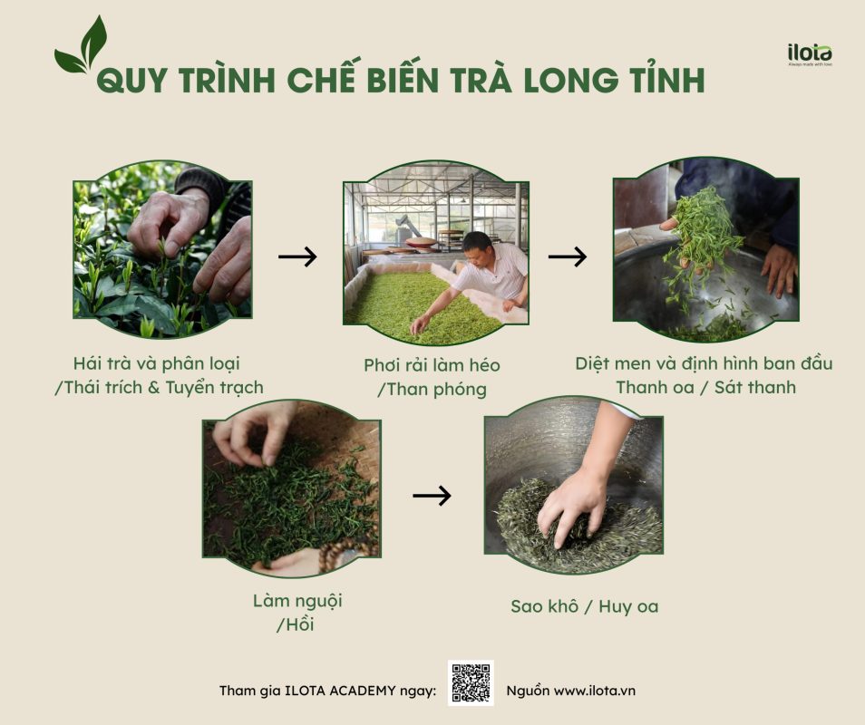 tra-tay-ho-long-tinh-tinh-hoa-tra-xanh
