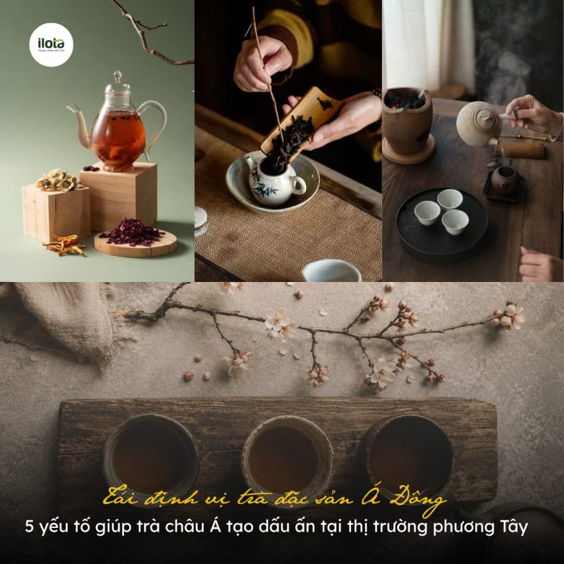 tai-dinh-vi-tra-dac-san-a-dong